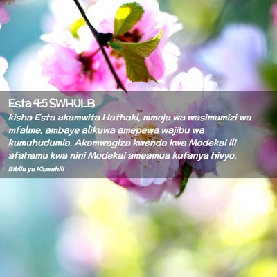 Picture 02 - Esta 4:5 SWHULB - kisha Esta akamwita Hathaki, mmoja wa wasimamizi - Bible Verse Picture