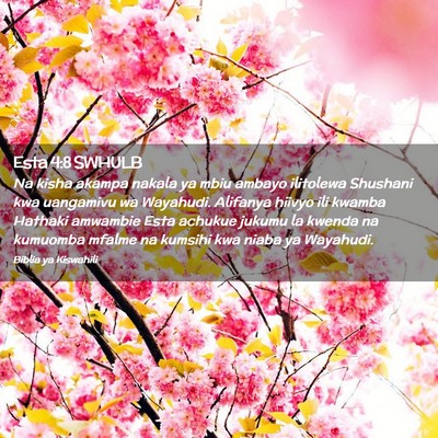 Picture 02 - Esta 4:8 SWHULB - Na kisha akampa nakala ya mbiu ambayo ilitolewa - Bible Verse Picture