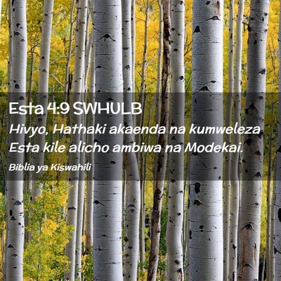 Picture 02 - Esta 4:9 SWHULB - Hivyo, Hathaki akaenda na kumweleza Esta kile - Bible Verse Picture