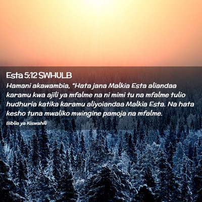 Picture 02 - Esta 5:12 SWHULB - Hamani akawambia, “Hata jana Malkia Esta - Bible Verse Picture