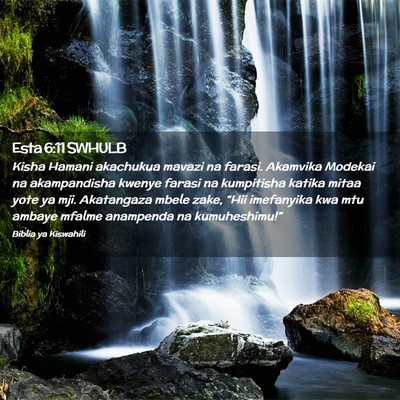 Picture 02 - Esta 6:11 SWHULB - Kisha Hamani akachukua mavazi na farasi. Akamvika - Bible Verse Picture
