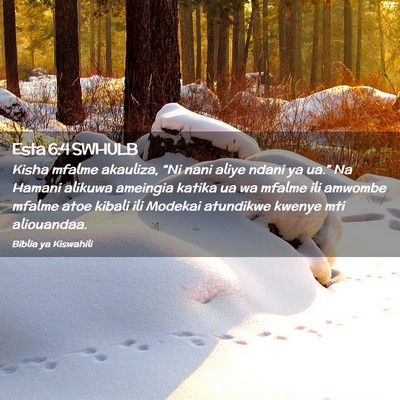 Picture 02 - Esta 6:4 SWHULB - Kisha mfalme akauliza, “Ni nani aliye ndani ya - Bible Verse Picture