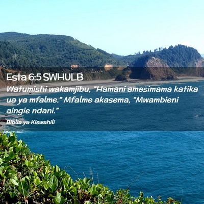 Picture 02 - Esta 6:5 SWHULB - Watumishi wakamjibu, “Hamani amesimama katika - Bible Verse Picture
