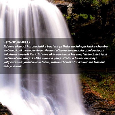 Picture 02 - Esta 7:8 SWHULB - Mfalme akarudi kutoka katika bustani ya ikulu, na - Bible Verse Picture