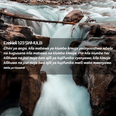 Picture 02 - Ezekieli 1:23 SWHULB - Chini ya anga, kila mabawa ya kiumbe kimoja - Bible Verse Picture