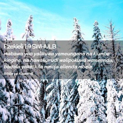 Picture 02 - Ezekieli 1:9 SWHULB - mabawa yao yalikuwa yameungana na kiumbe kingine, - Bible Verse Picture