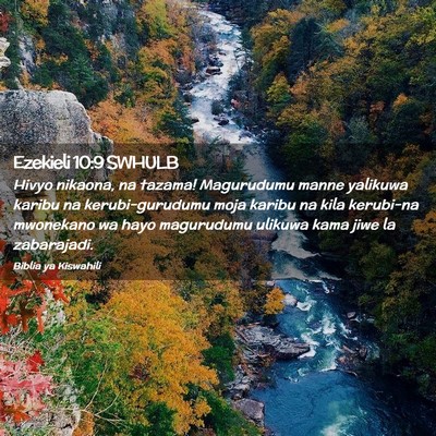 Picture 02 - Ezekieli 10:9 SWHULB - Hivyo nikaona, na tazama! Magurudumu manne - Bible Verse Picture