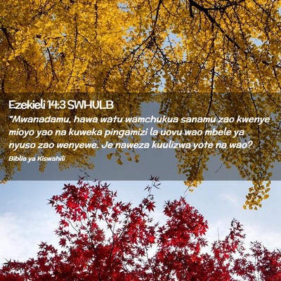 Picture 02 - Ezekieli 14:3 SWHULB - “Mwanadamu, hawa watu wamchukua sanamu zao - Bible Verse Picture