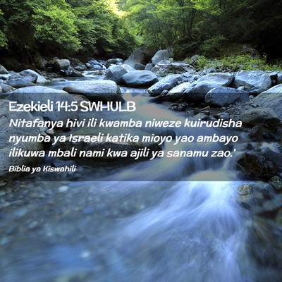 Picture 02 - Ezekieli 14:5 SWHULB - Nitafanya hivi ili kwamba niweze kuirudisha - Bible Verse Picture