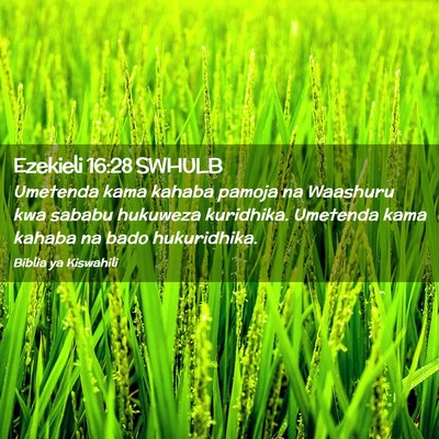 Picture 02 - Ezekieli 16:28 SWHULB - Umetenda kama kahaba pamoja na Waashuru kwa - Bible Verse Picture