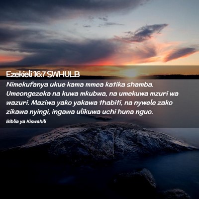 Picture 02 - Ezekieli 16:7 SWHULB - Nimekufanya ukue kama mmea katika shamba. - Bible Verse Picture