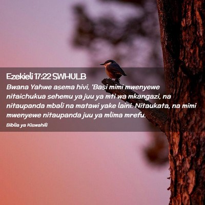 Picture 02 - Ezekieli 17:22 SWHULB - Bwana Yahwe asema hivi, 'Basi mimi mwenyewe - Bible Verse Picture