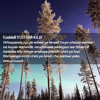 Picture 02 - Ezekieli 17:23 SWHULB - Nitaupanda juu ya milima ya Israeli hivyo utazaa - Bible Verse Picture