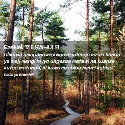 Picture 02 - Ezekieli 17:8 SWHULB - Ulikuwa umepandwa kwenye udongo mzuri kando ya - Bible Verse Picture