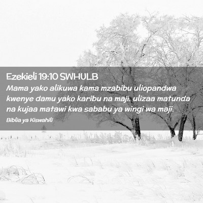 Picture 02 - Ezekieli 19:10 SWHULB - Mama yako alikuwa kama mzabibu uliopandwa kwenye - Bible Verse Picture