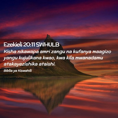 Picture 02 - Ezekieli 20:11 SWHULB - Kisha nikawapa amri zangu na kufanya maagizo - Bible Verse Picture