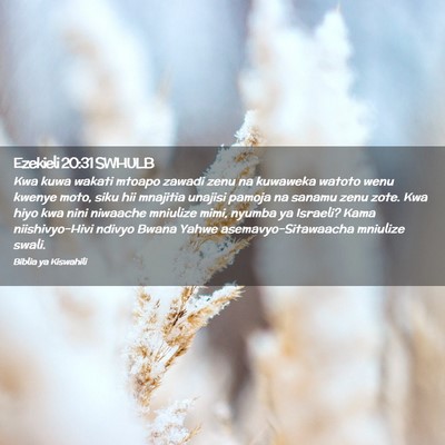 Picture 02 - Ezekieli 20:31 SWHULB - Kwa kuwa wakati mtoapo zawadi zenu na kuwaweka - Bible Verse Picture