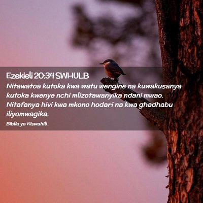 Picture 02 - Ezekieli 20:34 SWHULB - Nitawatoa kutoka kwa watu wengine na kuwakusanya - Bible Verse Picture
