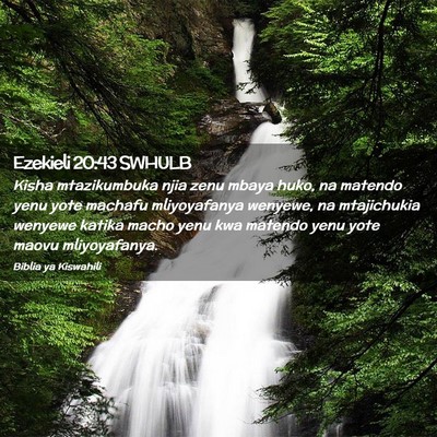 Picture 02 - Ezekieli 20:43 SWHULB - Kisha mtazikumbuka njia zenu mbaya huko, na - Bible Verse Picture