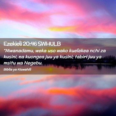 Picture 02 - Ezekieli 20:46 SWHULB - “Mwanadamu, weka uso wako kuelekea nchi za - Bible Verse Picture