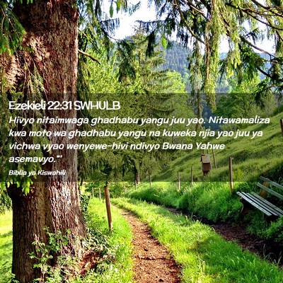 Picture 02 - Ezekieli 22:31 SWHULB - Hivyo nitaimwaga ghadhabu yangu juu yao. - Bible Verse Picture