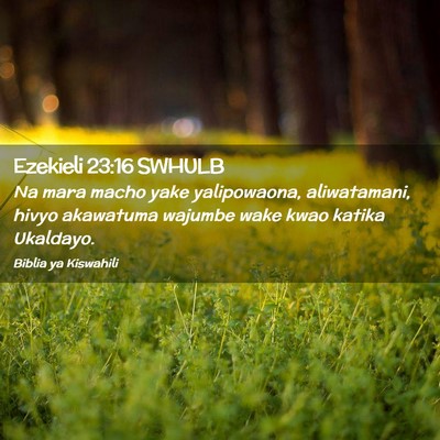 Picture 02 - Ezekieli 23:16 SWHULB - Na mara macho yake yalipowaona, aliwatamani, - Bible Verse Picture