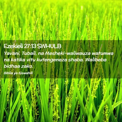 Picture 02 - Ezekieli 27:13 SWHULB - Yavani, Tubali, na Mesheki-waliwauza watumwa na - Bible Verse Picture