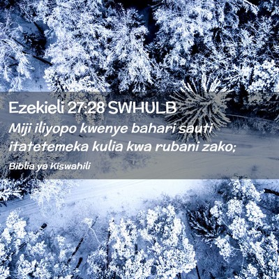 Picture 02 - Ezekieli 27:28 SWHULB - Miji iliyopo kwenye bahari sauti itatetemeka - Bible Verse Picture