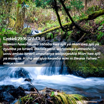 Picture 02 - Ezekieli 29:16 SWHULB - Wamisri hawatakuwa sababu kwa ajili ya imani kwa - Bible Verse Picture