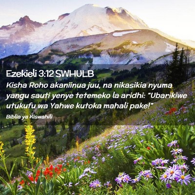 Picture 02 - Ezekieli 3:12 SWHULB - Kisha Roho akaniinua juu, na nikasikia nyuma - Bible Verse Picture