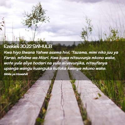Picture 02 - Ezekieli 30:22 SWHULB - Kwa hiyo Bwana Yahwe asema hivi, 'Tazama, mimi - Bible Verse Picture