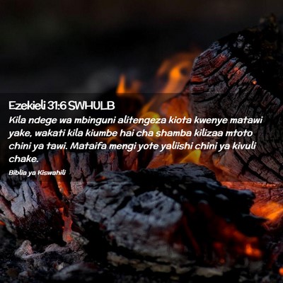 Picture 02 - Ezekieli 31:6 SWHULB - Kila ndege wa mbinguni alitengeza kiota kwenye - Bible Verse Picture