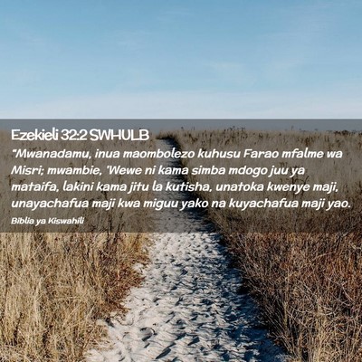 Picture 02 - Ezekieli 32:2 SWHULB - “Mwanadamu, inua maombolezo kuhusu Farao mfalme - Bible Verse Picture