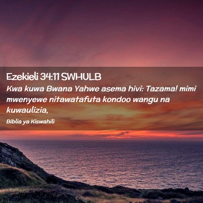 Picture 02 - Ezekieli 34:11 SWHULB - Kwa kuwa Bwana Yahwe asema hivi: Tazama! mimi - Bible Verse Picture