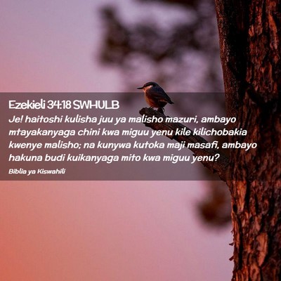 Picture 02 - Ezekieli 34:18 SWHULB - Je! haitoshi kulisha juu ya malisho mazuri, - Bible Verse Picture
