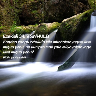 Picture 02 - Ezekieli 34:19 SWHULB - Kondoo zangu zitakula kile mlichokanyagwa kwa - Bible Verse Picture