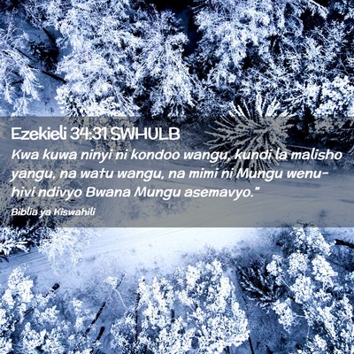 Picture 02 - Ezekieli 34:31 SWHULB - Kwa kuwa ninyi ni kondoo wangu, kundi la malisho - Bible Verse Picture