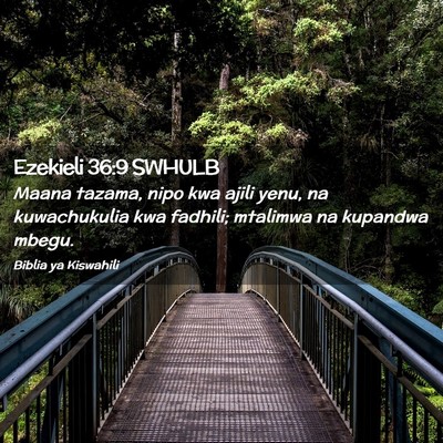 Picture 02 - Ezekieli 36:9 SWHULB - Maana tazama, nipo kwa ajili yenu, na - Bible Verse Picture
