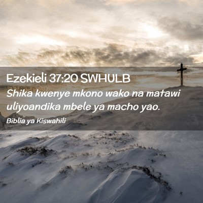 Picture 02 - Ezekieli 37:20 SWHULB - Shika kwenye mkono wako na matawi uliyoandika - Bible Verse Picture