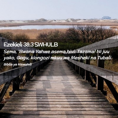 Picture 02 - Ezekieli 38:3 SWHULB - Sema, 'Bwana Yahwe asema hivi: Tazama! Ni juu - Bible Verse Picture