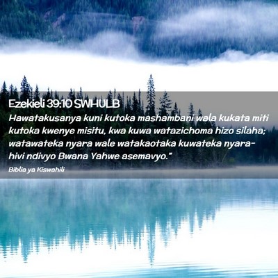 Picture 02 - Ezekieli 39:10 SWHULB - Hawatakusanya kuni kutoka mashambani wala kukata - Bible Verse Picture
