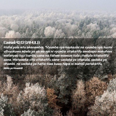 Picture 02 - Ezekieli 42:13 SWHULB - Kisha yule mtu akanambia, “Vyumba vya kaskazini - Bible Verse Picture