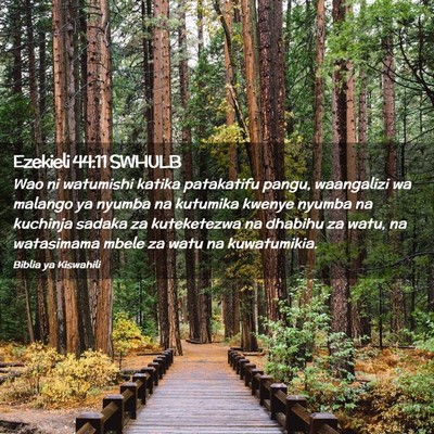 Picture 02 - Ezekieli 44:11 SWHULB - Wao ni watumishi katika patakatifu pangu, - Bible Verse Picture