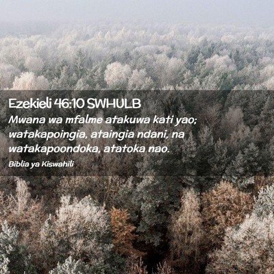 Picture 02 - Ezekieli 46:10 SWHULB - Mwana wa mfalme atakuwa kati yao; watakapoingia, - Bible Verse Picture