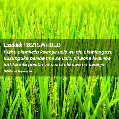 Picture 02 - Ezekieli 46:21 SWHULB - Kisha akanileta kwenye uzio wa nje akaniongoza - Bible Verse Picture