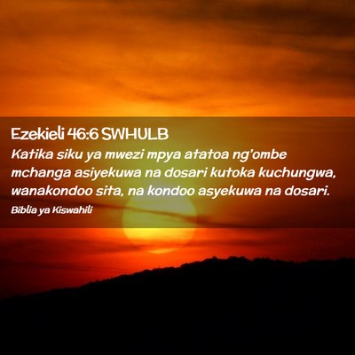 Picture 02 - Ezekieli 46:6 SWHULB - Katika siku ya mwezi mpya atatoa ng'ombe mchanga - Bible Verse Picture