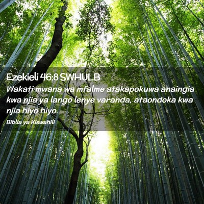 Picture 02 - Ezekieli 46:8 SWHULB - Wakati mwana wa mfalme atakapokuwa anaingia kwa - Bible Verse Picture