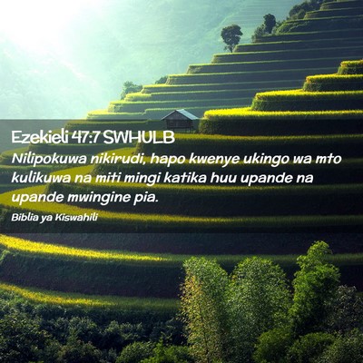Picture 02 - Ezekieli 47:7 SWHULB - Nilipokuwa nikirudi, hapo kwenye ukingo wa mto - Bible Verse Picture