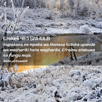 Picture 02 - Ezekieli 48:5 SWHULB - Kupakana na mpaka wa Manase kutoka upande wa - Bible Verse Picture