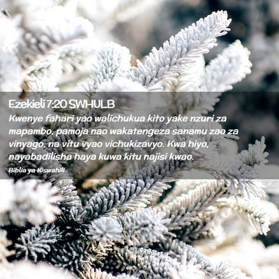 Picture 02 - Ezekieli 7:20 SWHULB - Kwenye fahari yao walichukua kito yake nzuri za - Bible Verse Picture